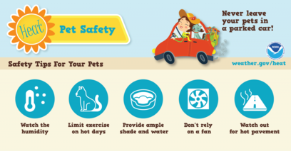 Pet Heat Safety Infographic