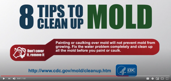 Image of Mold Video Tip from the CDC