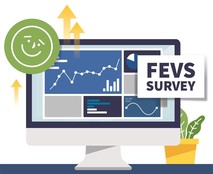 Visual representation of the FEVS