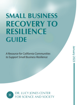 Dr. Lucy Jones Center Small Business Recovery Resilience Guide