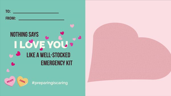 Emergency Kit V-Day