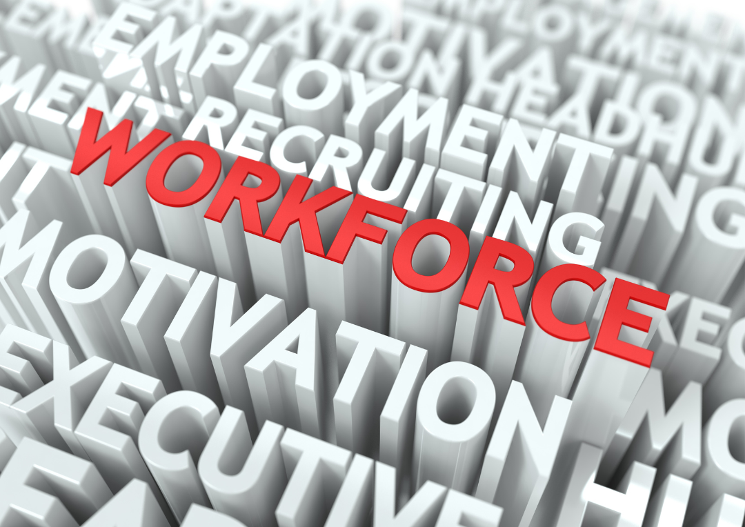 Workforce