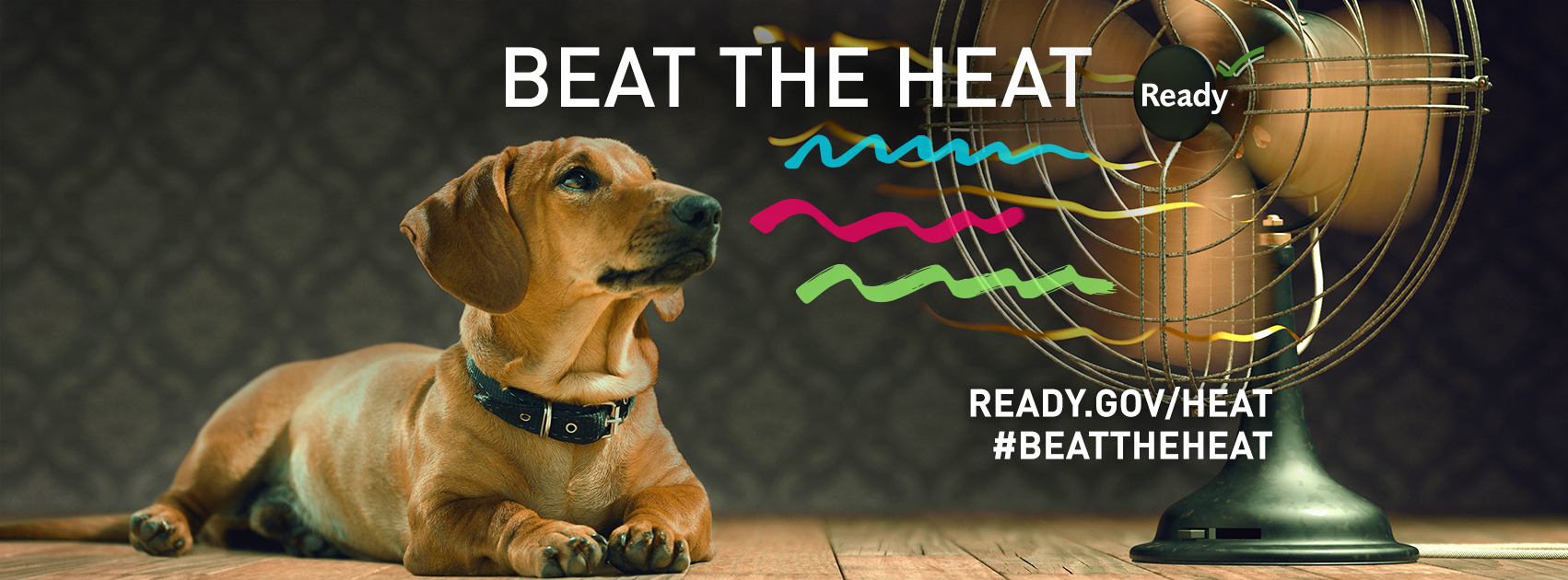 Heat ready. Beat the Pet for Kids.