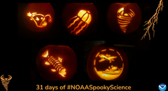 NOAA Spooky Science edition: NOAA Education pumpkin carving templates (Kaleigh Ballantine/Graphic by Kayla do Couto, NOAA Office of Education)