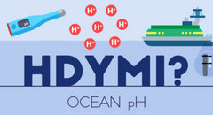 How Do You Measure the Acidity (pH) of the Ocean?