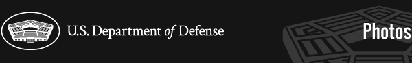 U.S. Department of Defense IR 