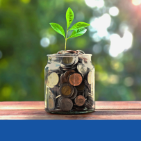 Coins in a jar with a plant growing out of the top