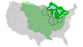 Argonne-Advances-Great-Lakes-ReNEW_270-r2