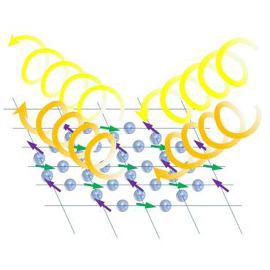 Resonant scattering of circularly polarized X-ray beams