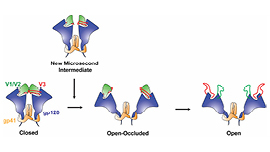 The Source-July 2024-Vaccine against HIV