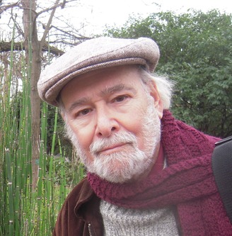 Dr. Imre Gyuk Headshot