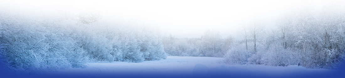 FEMP Winter Workshop Header 2