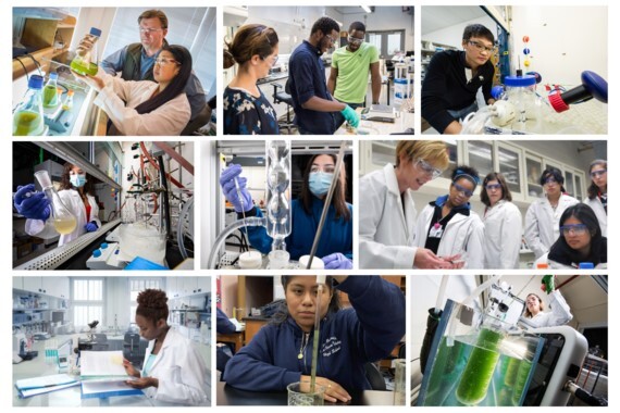 Bioenergy Bridge to Career Program Workshop