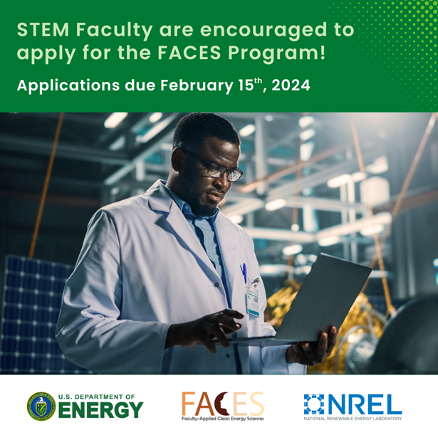 Visiting faculty program