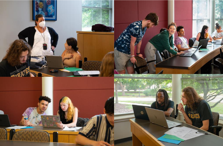 BRIDGES Bioenergy Case Studies