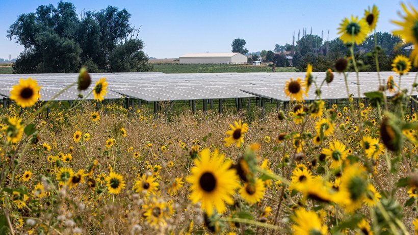 EECBG Program Guide for Tribes