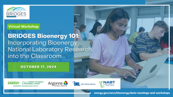 BRIDGES Virtual Workshop