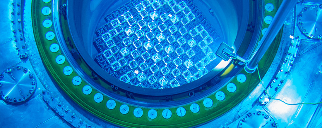 Reactor core