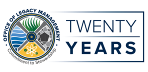 20-year anniversary logo