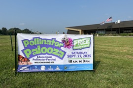 Pollinator Palooza