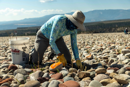 Marking rocks with orange paint