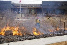 Weldon Prescribed Burn