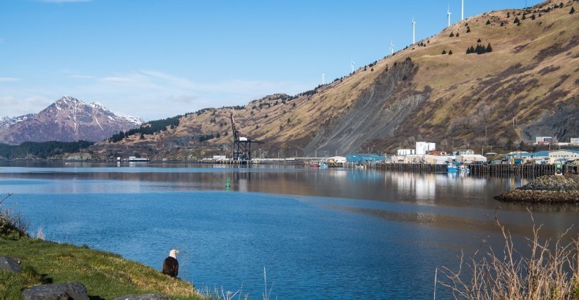 A bald eagle looks over St. Paul Harbor in Kodiak, Alaska with turns on the ridgeline. (Photo by Dennis Schroeder / NREL)