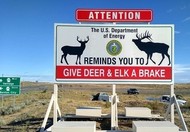 A photo of a 6-by-12-foot signs along a state highway that helps alert motorists that deer and elk may be in the area.