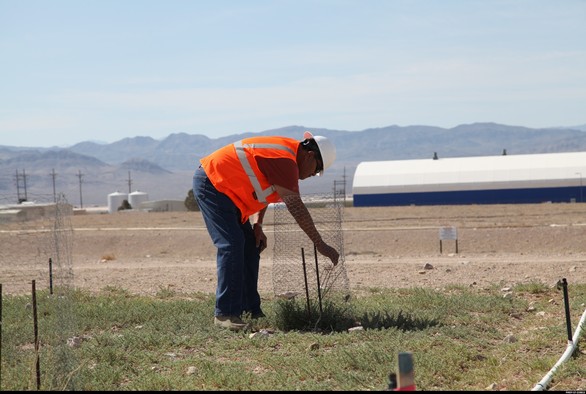 Revegetation at the NNSS