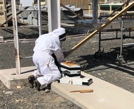 Cynthia Synar, planner and beekeeper with contractor Central Plateau Cleanup Company, carefully places a swarm of bees in a box for relocation.