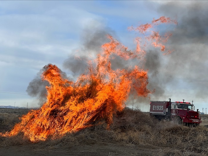 Firefighters routinely hold planned, controlled burning of tumbleweeds to eliminate additional fuel ahead of the upcoming fire season.