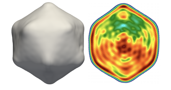 Two images - one of the outside of a virus particle shell and one of the analysis of the virus particle
