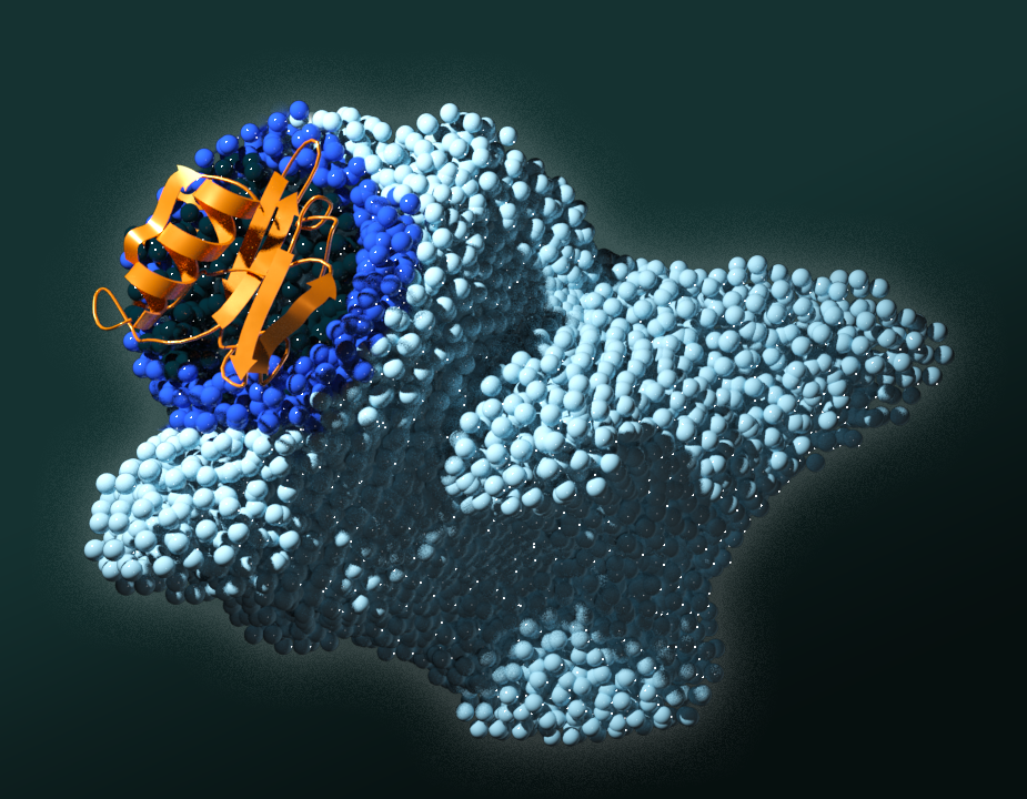 Illustration of a protein 