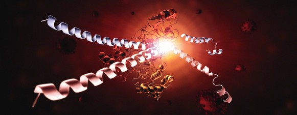 Illustration of a protein from the virus that causes COVID-19 cutting a protective protein in the body