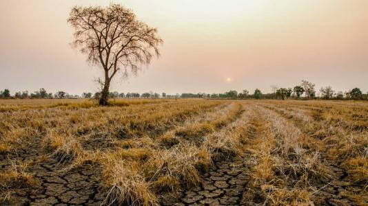 Photo of a very dry field with cracked soil and a hazy sky with a sun in the background