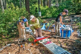 Photo of three scientists (white women in casual fieldwork clothes) handling sampling materials in a forest