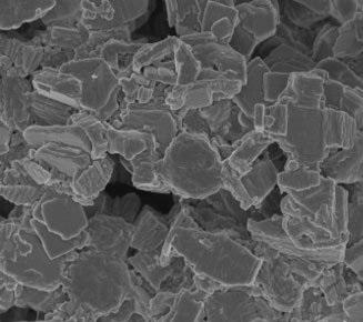 Microscopic image of bacterial cells on semiconductor materials, which look like blocky crystals