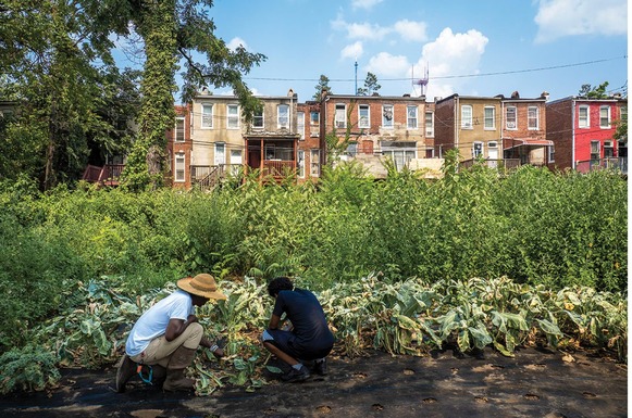 Two farmers working on an urban farm in Baltimore, with brick row houses in the background