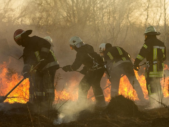 Firefighters in full equipment fighting a brushfire