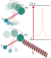 Illustration of lasers hitting radium monofluoride molecules and showing how they rotate. A graph shows sharp spectral peaks.