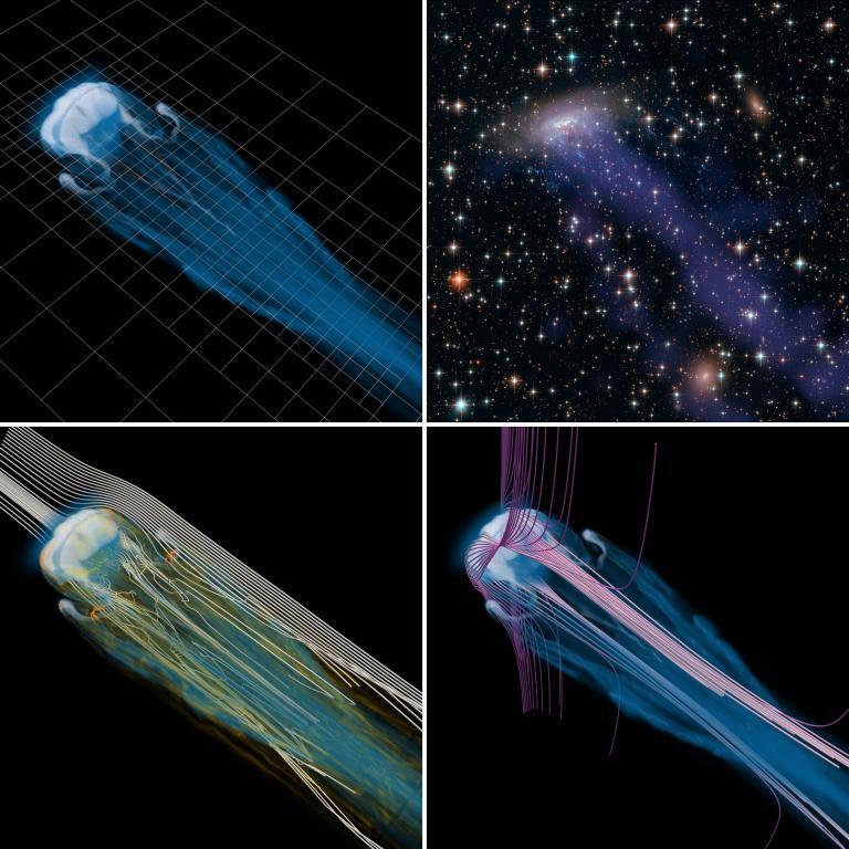 Four images - 3 are computer simulations that look like jellyfish, one is an image of a galaxy in a jellyfish-like shape