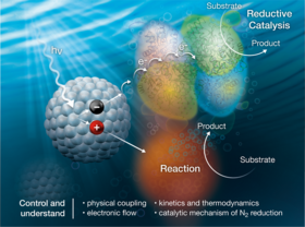 An illustration of the biohybrid system, which allows for electron movement and reductive catalysis