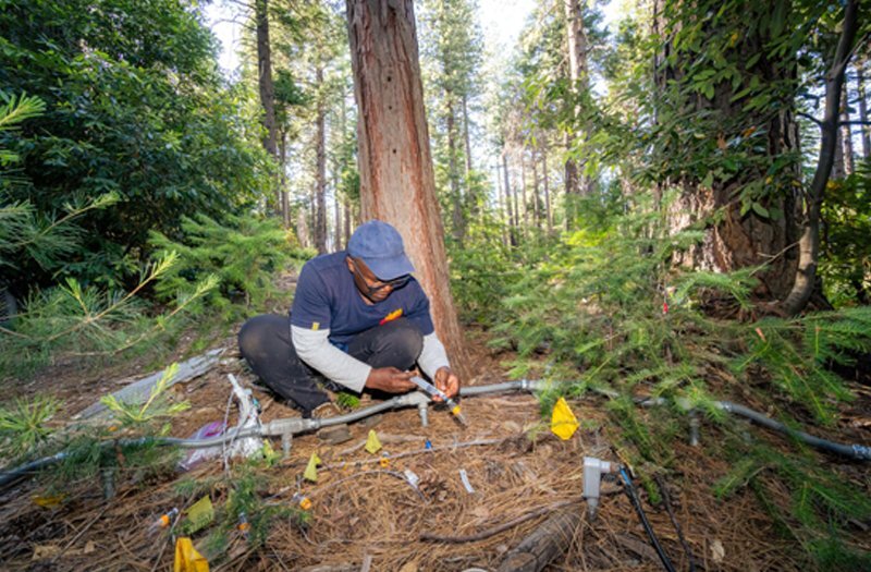 Steve Kwatcho Kengdo is in the forest using a syringe to extract air from the soil and put it into a sample bottle for analysis.