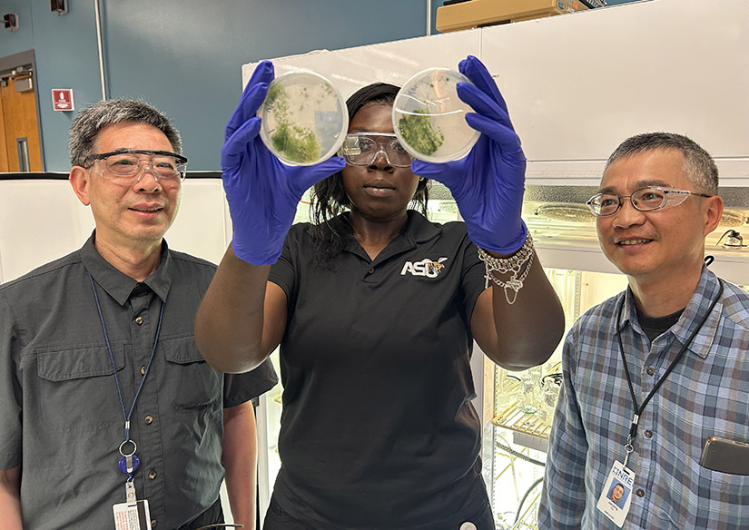 Harvey Hou, Lydia Davies-Balogun, and Jianping Yu in a laboratory. Davies-Balogun is holding up two petri dishes with algae in them.
