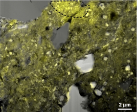 A very up-close image of a slice of green-appearing rock with white crystals and holes in it