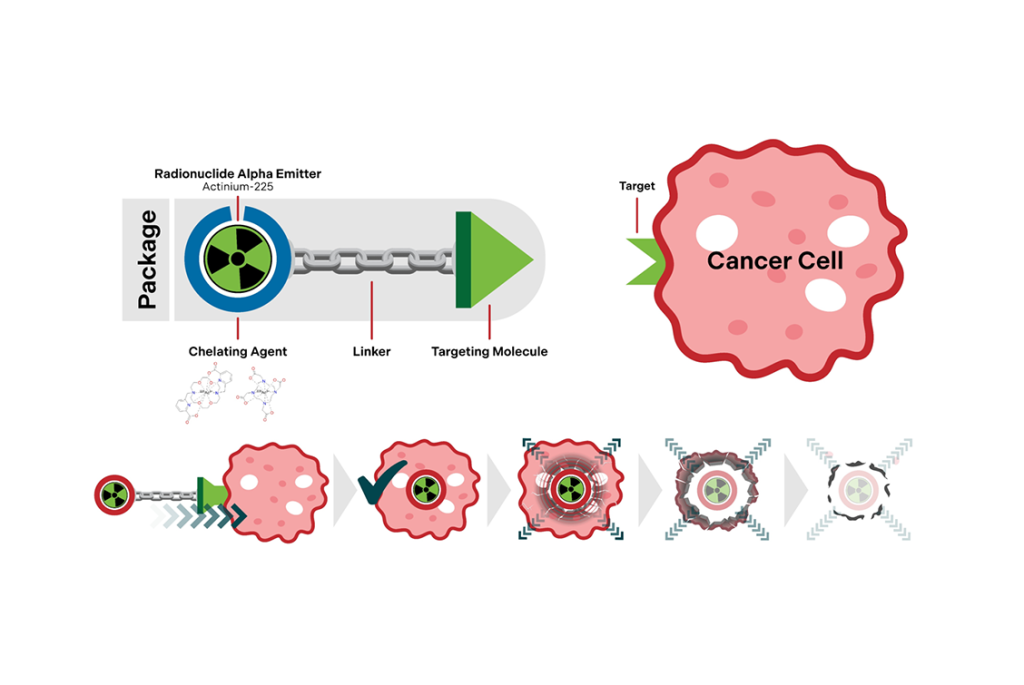Diagram showing how Ac-225 is inside of a package with a chelating agent and targeting molecule to move inside of a cancer cell