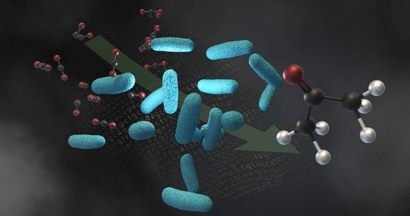 Illustration of a microbe breaking carbon dioxide down into useful gases