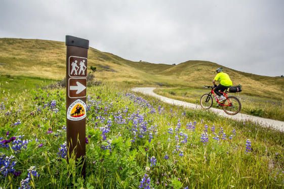 A man on a mountain bike rides along a curving trail past a trail marker and wildflowers towards a grass covered hill.