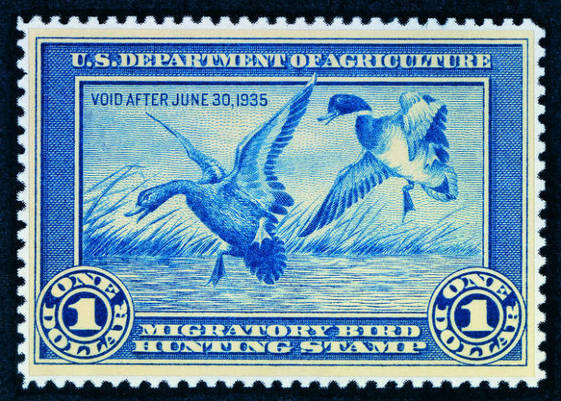 Photo of a printed blue stamp showing two ducks flying over a pond with text labeling it  a Migratory Bird Hunting Stamp.