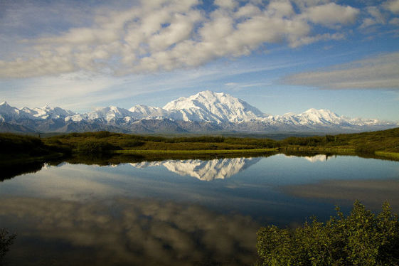 A reflection pond mirrors the image of the tall peak of Denali against a bright blue sky.